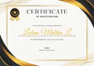 White Gold Elegant Modern Certificate of Participation